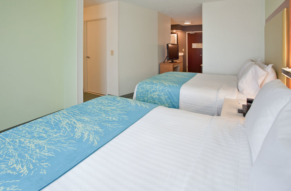 Springhill Suites By Marriott Houston Brookhollow Exterior foto
